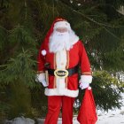 Der Hamburgs wahrer Weihnachtsmann vor einem Großem Baum